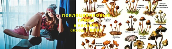 молекула духа Абдулино