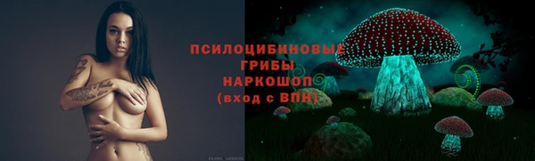 jwh Абаза