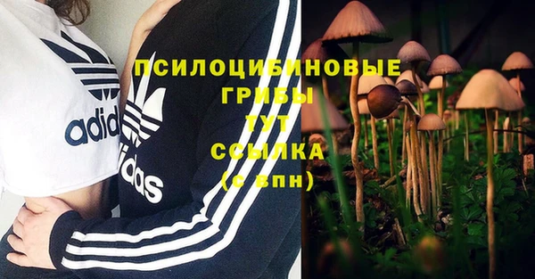 гашиш Козловка
