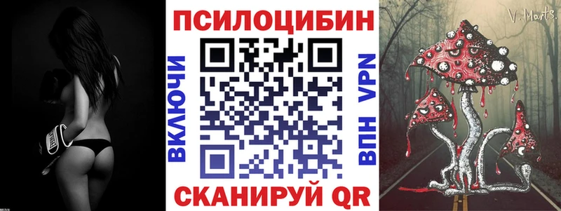 хочу   Вилюйск  Псилоцибиновые грибы Psilocybe 