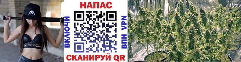 Марихуана планчик Вилюйск